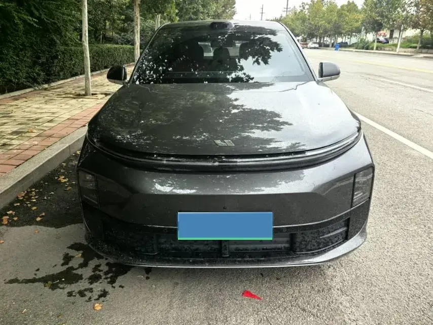 2024 LI L6 thumbnail 2