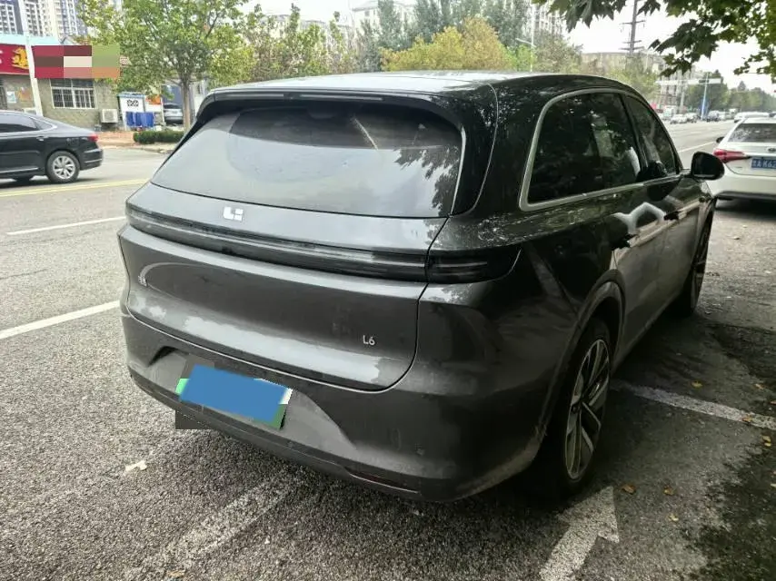 2024 LI L6 thumbnail 3