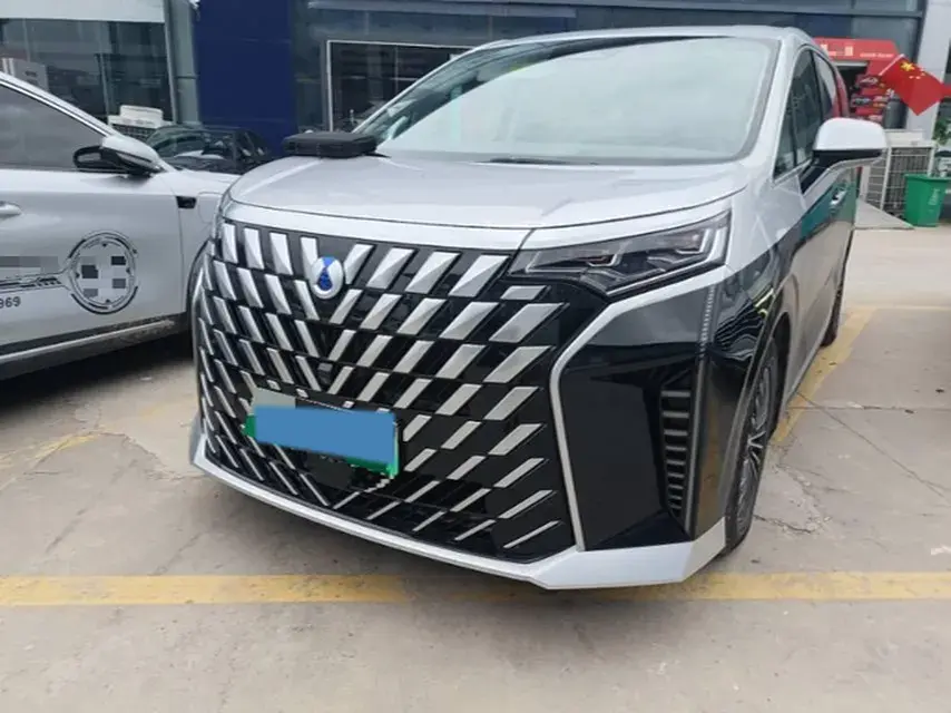 2022 DENZA D9 view 1