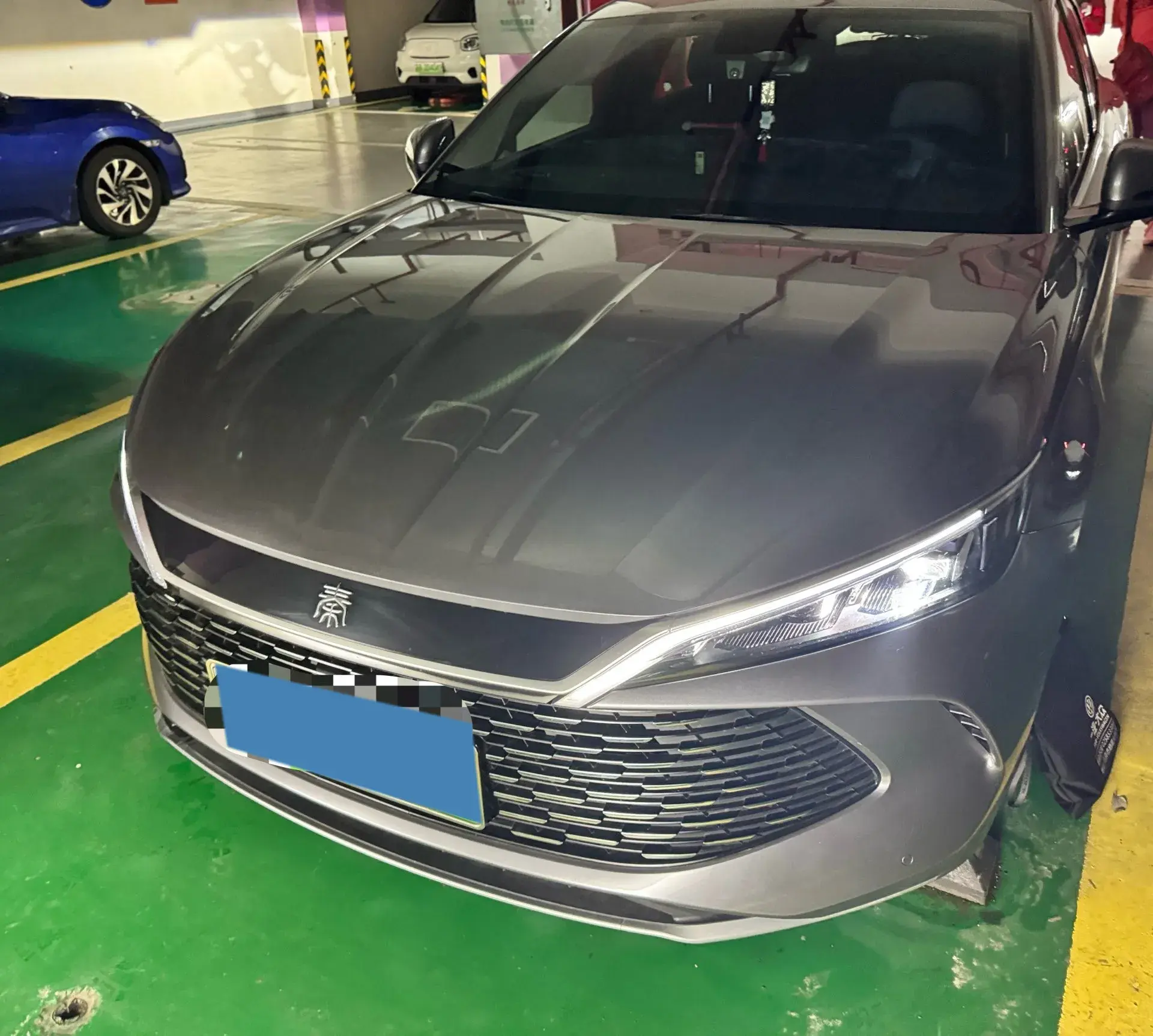 2024 BYD QINL thumbnail 2