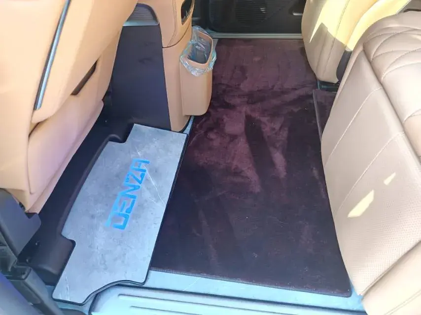 2025 DENZA D9 thumbnail 4