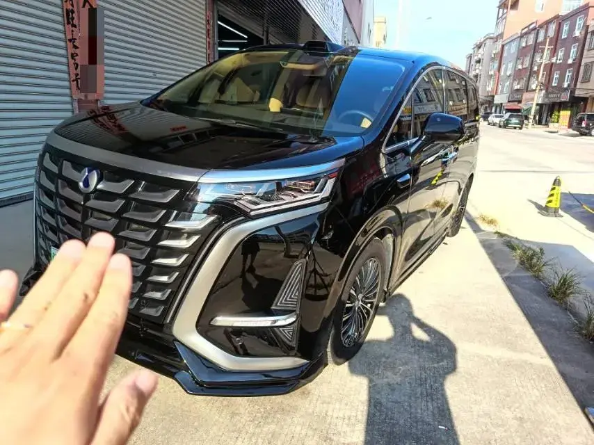 2025 DENZA D9 view 1