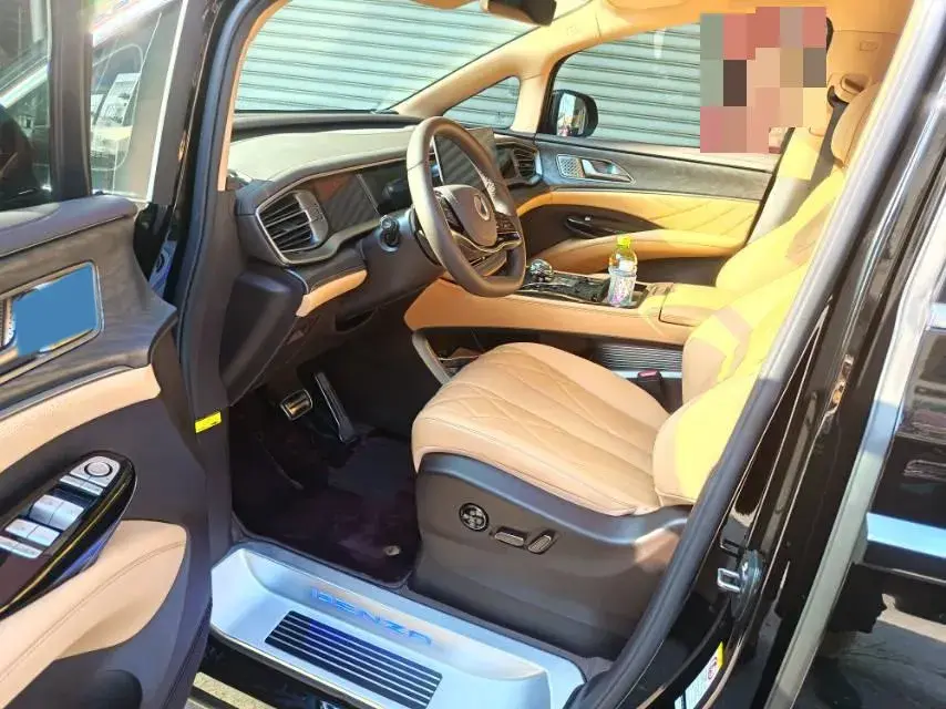 2025 DENZA D9 thumbnail 2