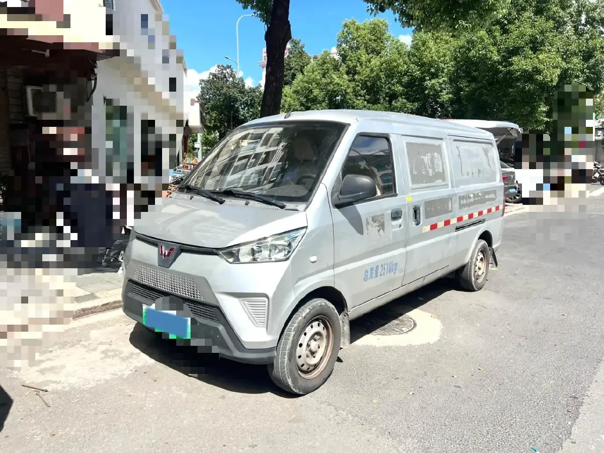 2020 WuLing EV50 BEV 43.2KWH