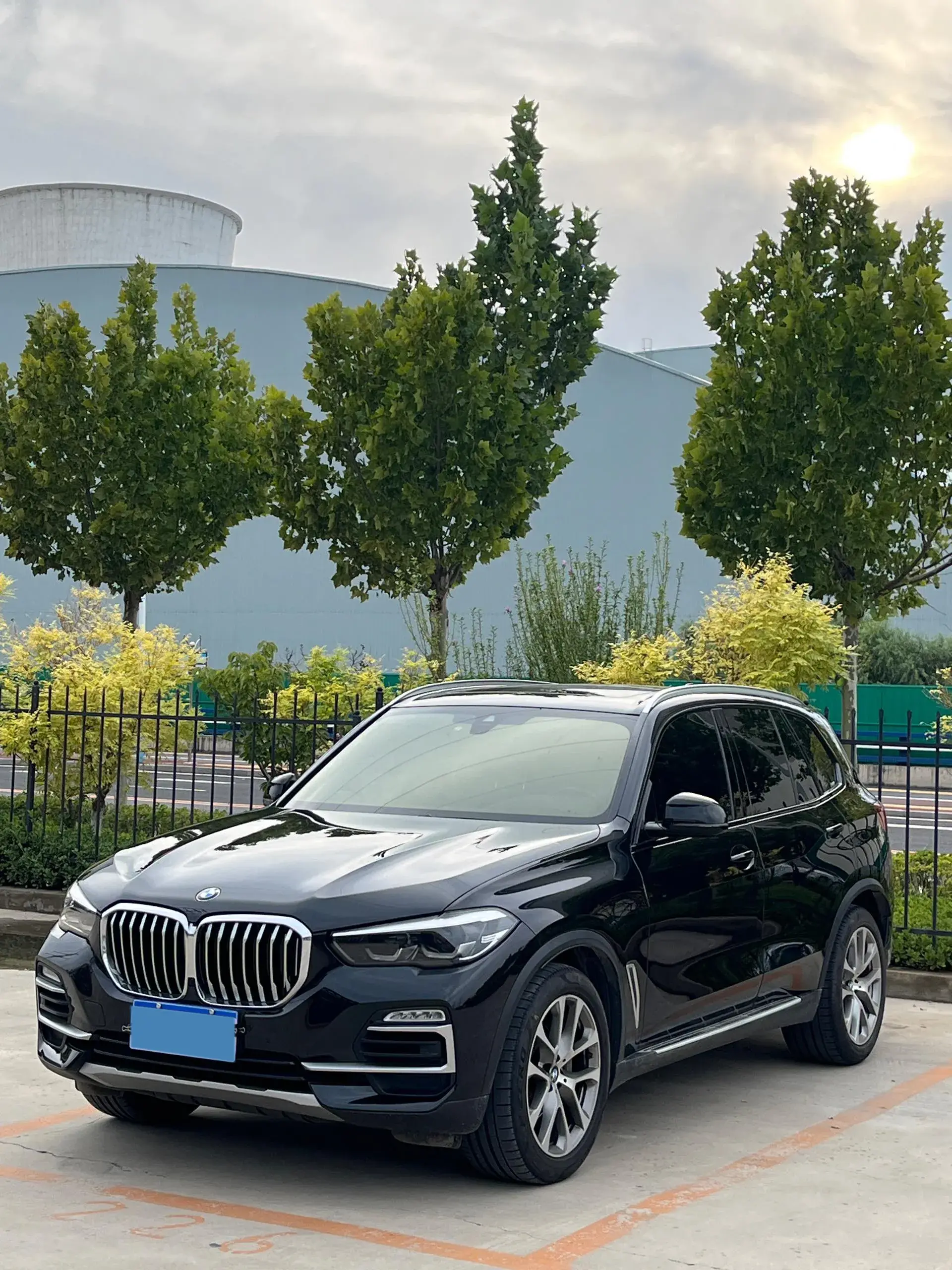 2020 BMW X5 view 1