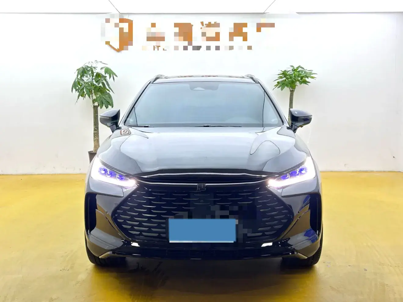 2022 BYD TANG thumbnail 2