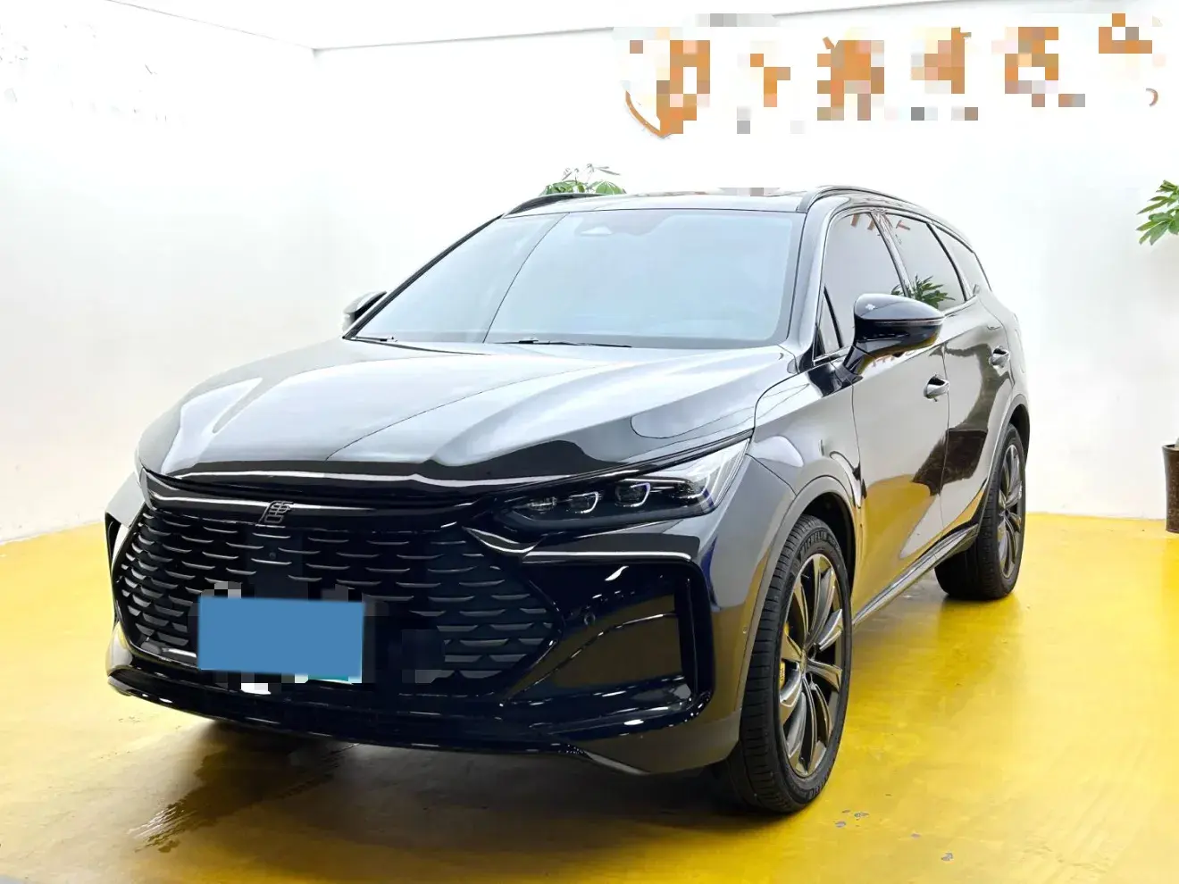 2022 BYD TANG view 1