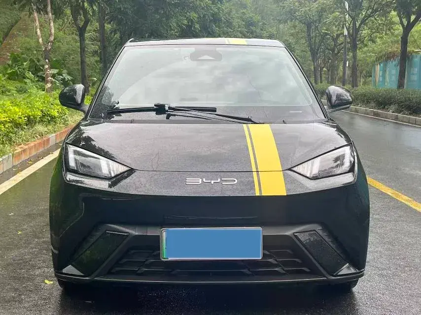 2023 BYD SEAGULL thumbnail 2