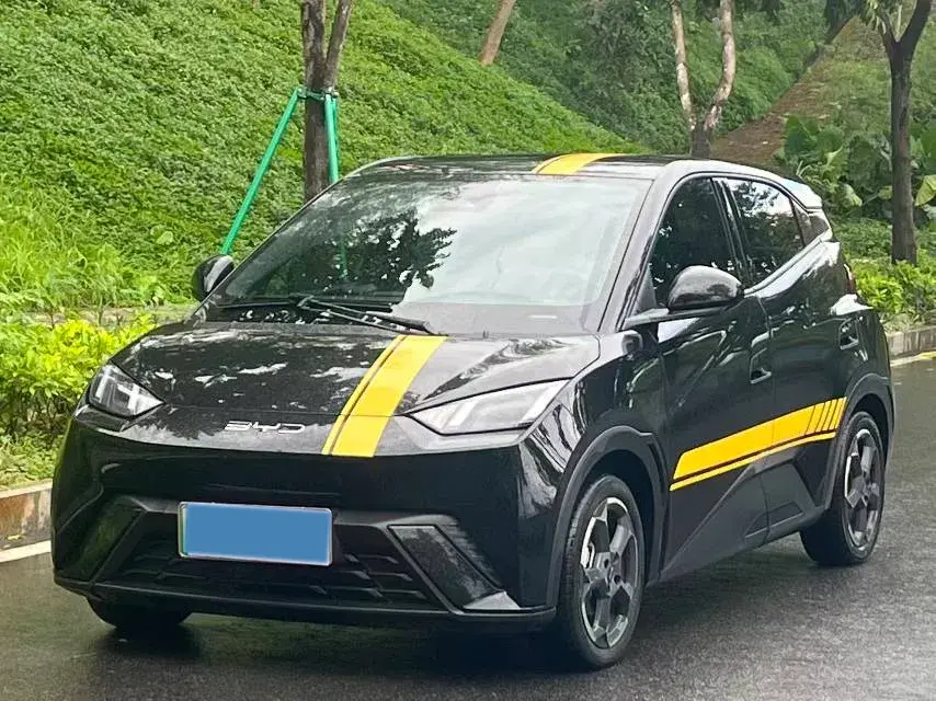 2023 BYD SEAGULL view 1