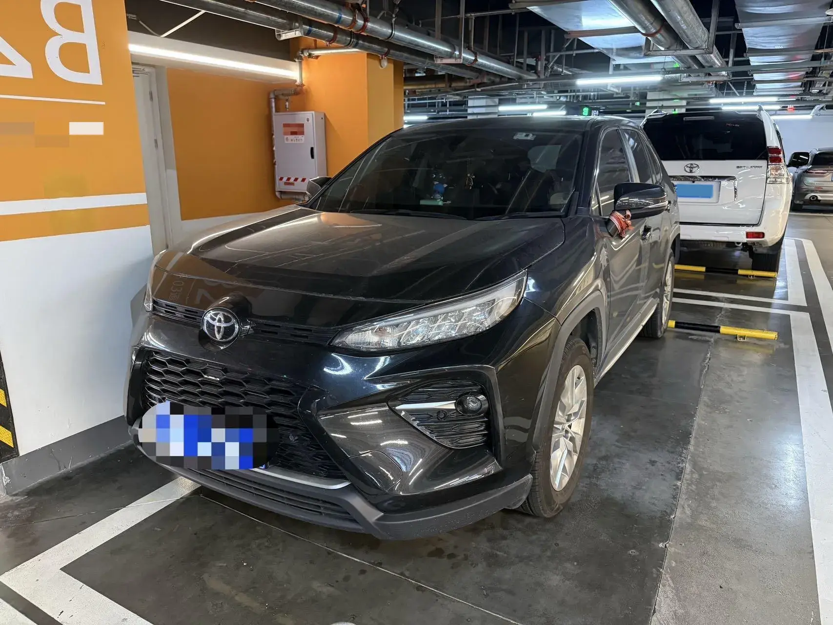 2020 TOYOTA WILDLANDER view 1