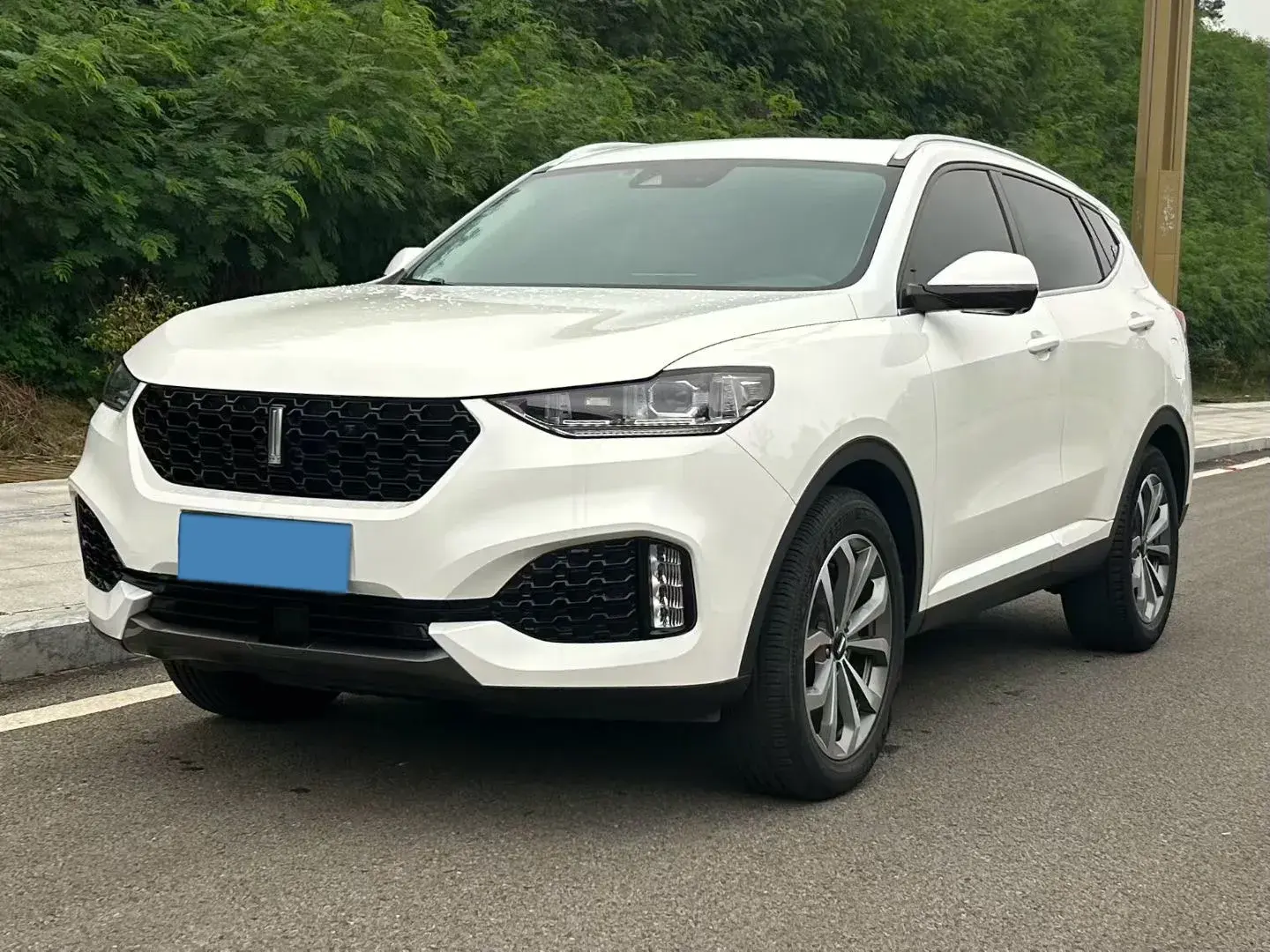 2018 WEY VV6 view 1