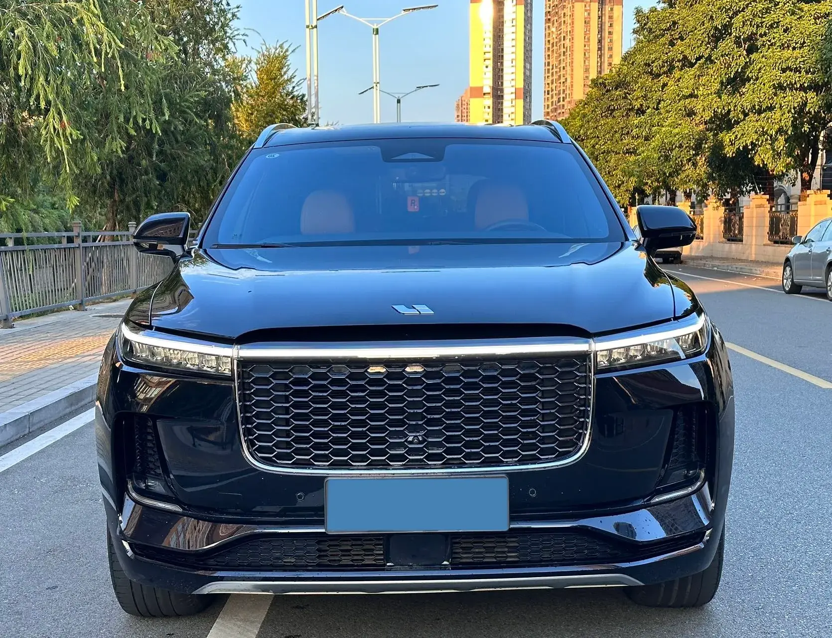 2021 LI ONE thumbnail 2