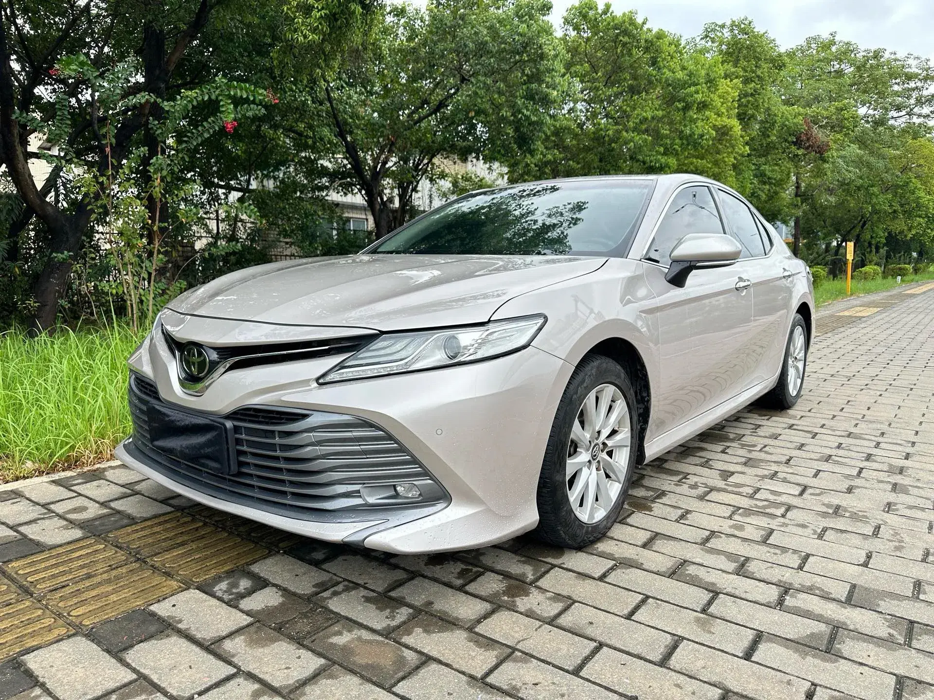 2019 TOYOTA CAMRY view 1