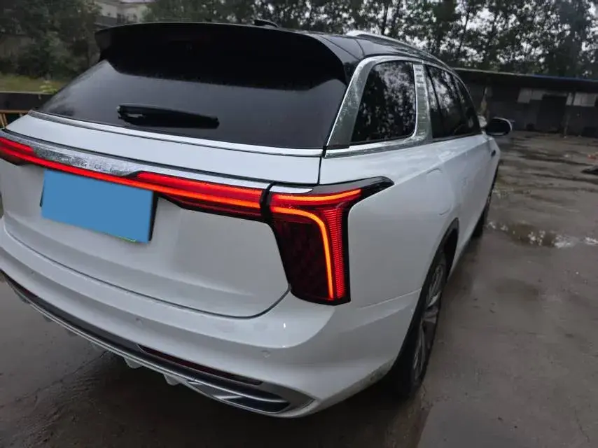 2022 HONGQI E-HS9 thumbnail 3
