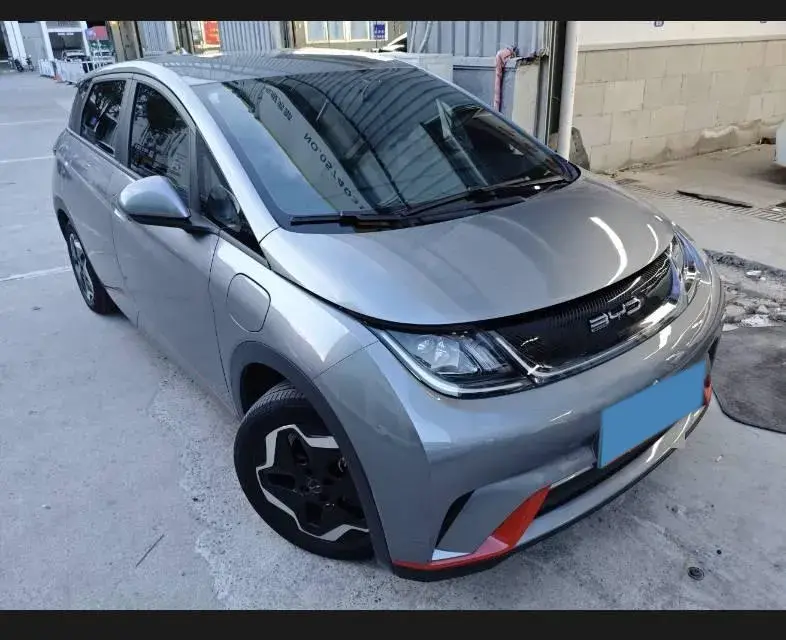 2021 BYD DOLPHIN thumbnail 2