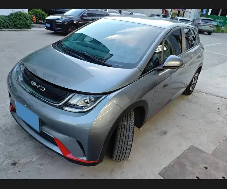 2021 BYD DOLPHIN view 1