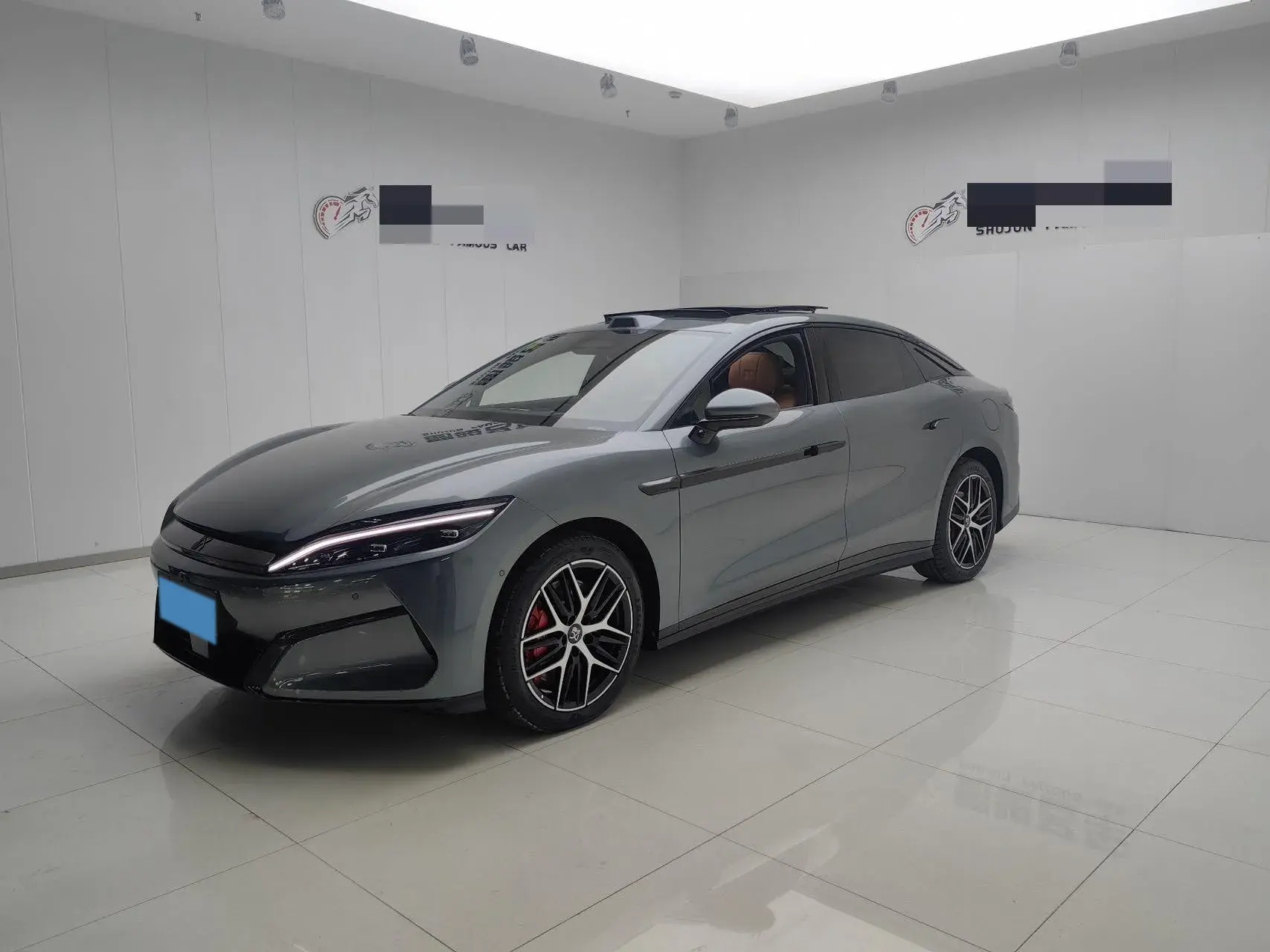 2025 BYD HANL view 1