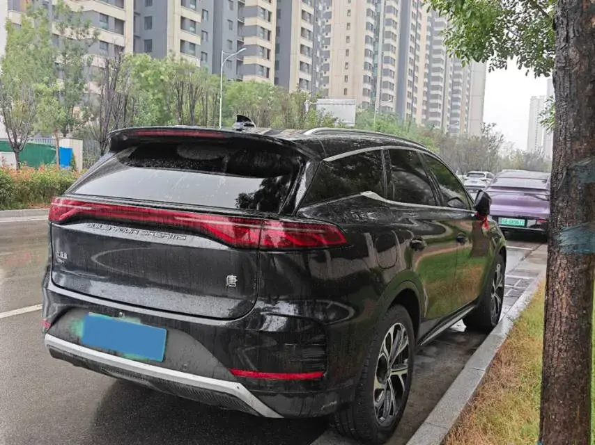 2025 BYD TANG thumbnail 4