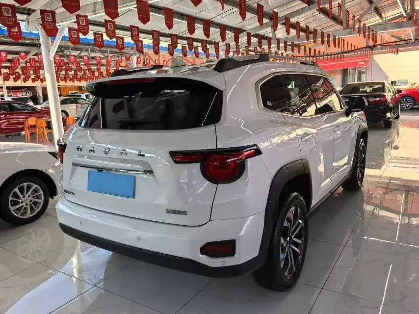 2023 HAVAL DARGO thumbnail 4