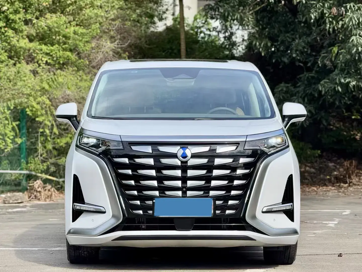 2022 DENZA D9 thumbnail 3