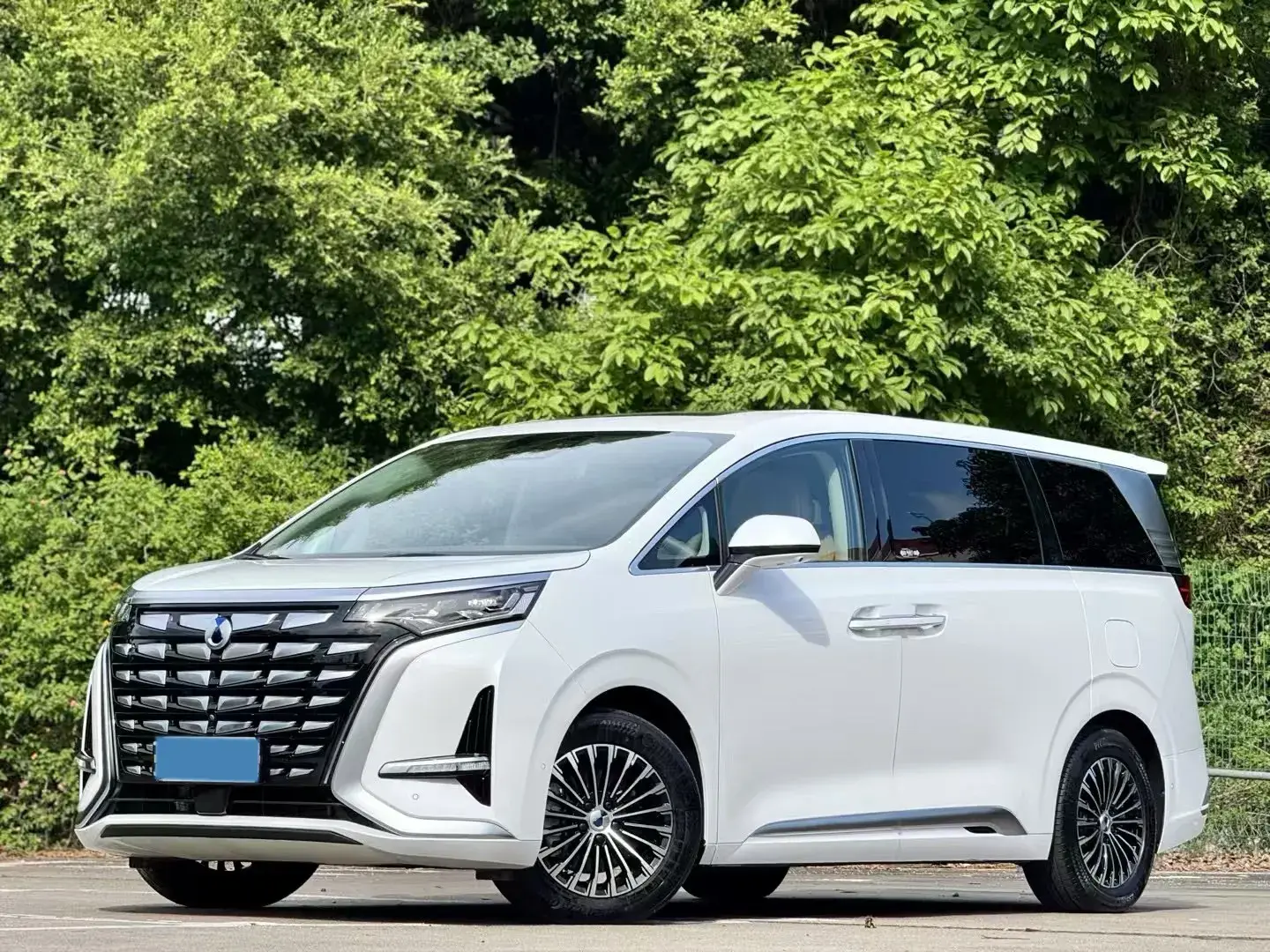 2022 DENZA D9 view 1