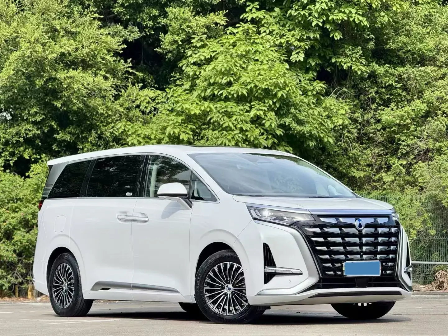 2022 DENZA D9 thumbnail 2