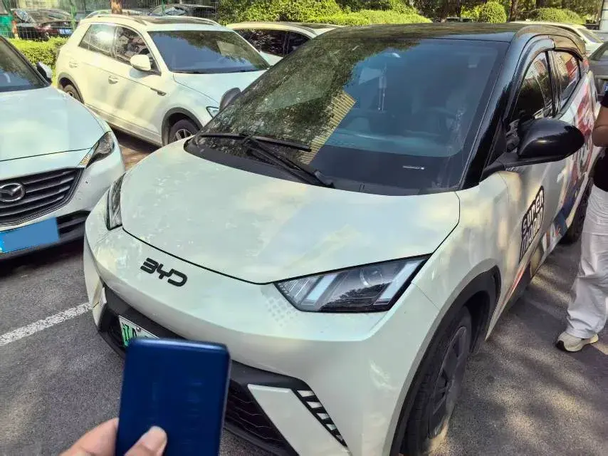 2023 BYD SEAGULL view 1