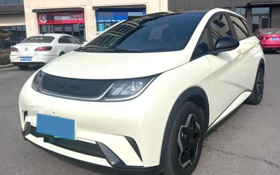 2021 BYD DOLPHIN view 1