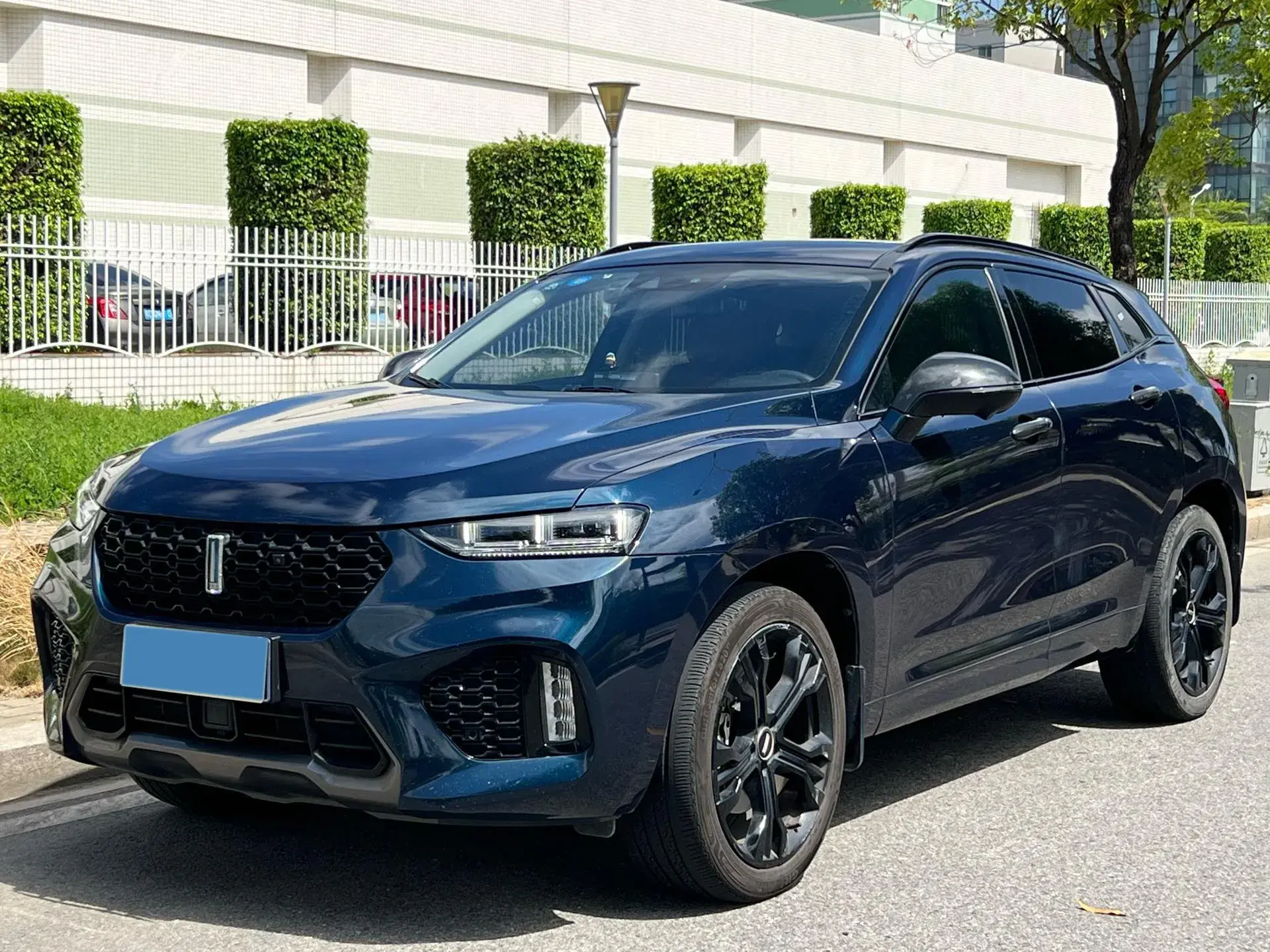 2019 WEY VV7 view 1
