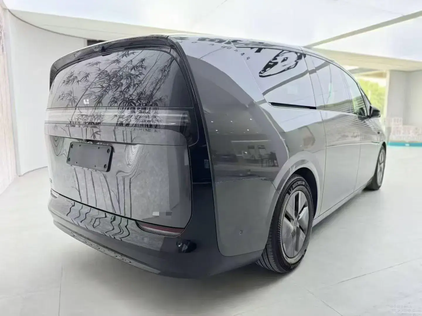 2024 LI MEGA thumbnail 3