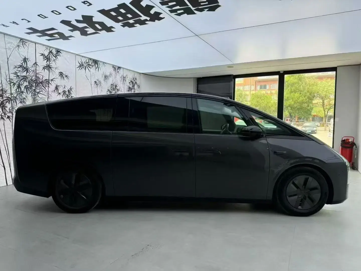 2024 LI MEGA thumbnail 2