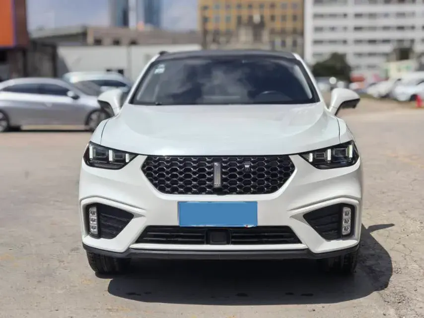 2020 WEY VV5 thumbnail 2