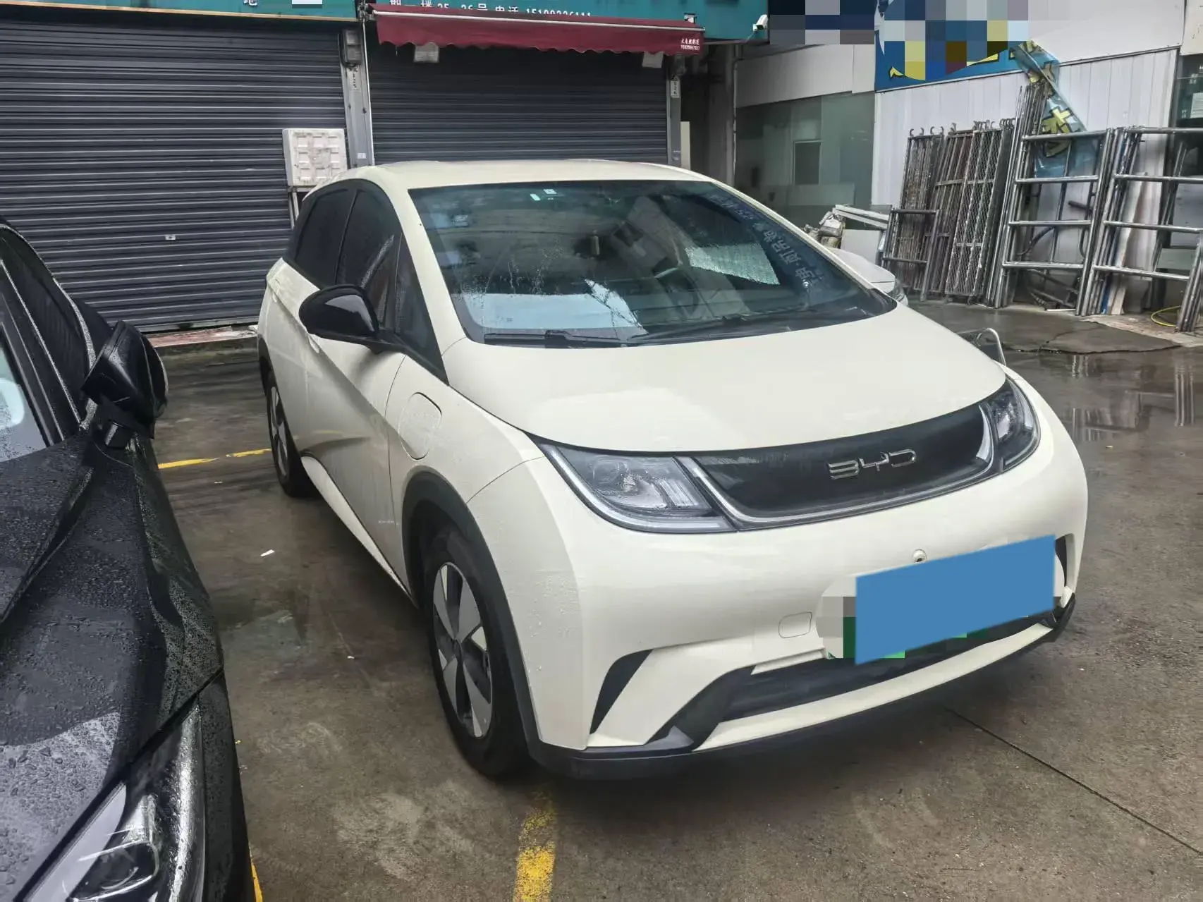 2023 BYD DOLPHIN thumbnail 3