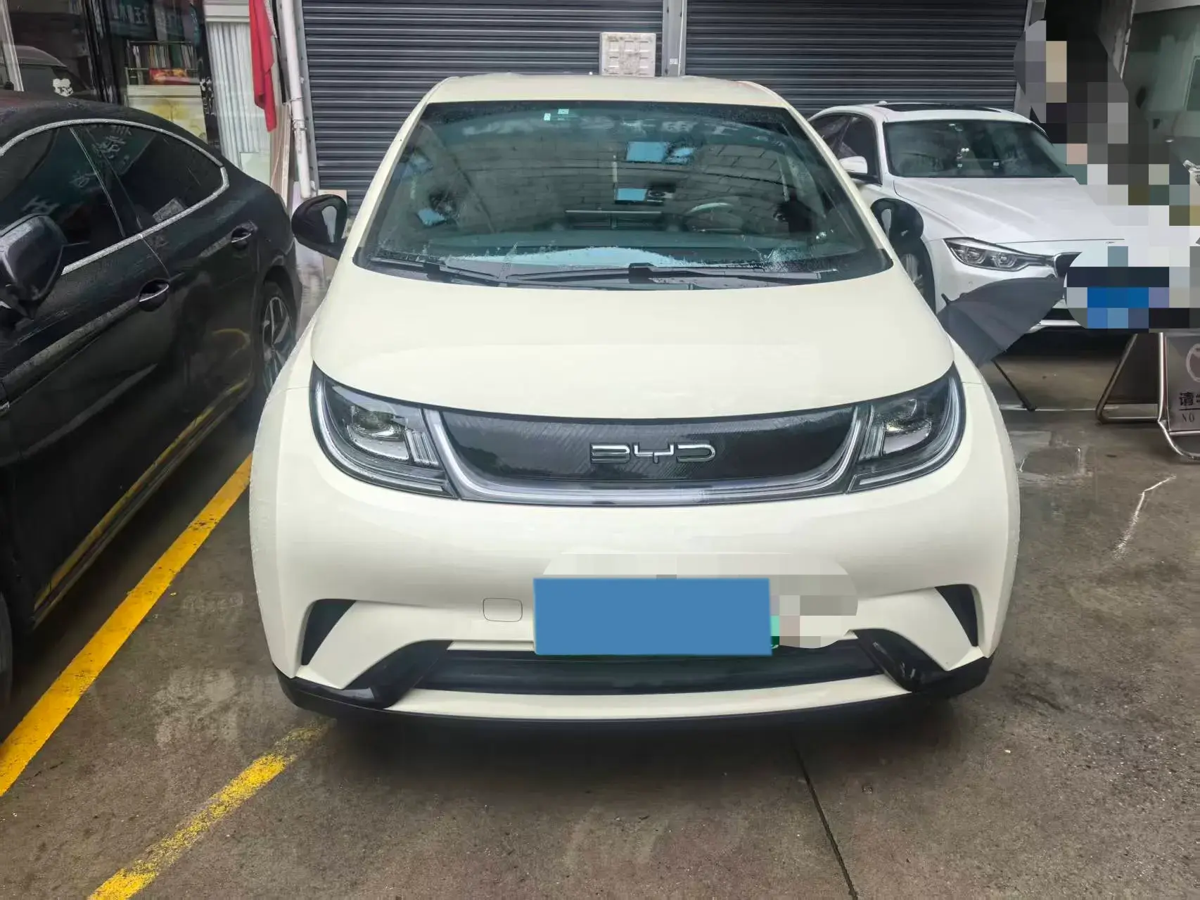 2023 BYD DOLPHIN thumbnail 2