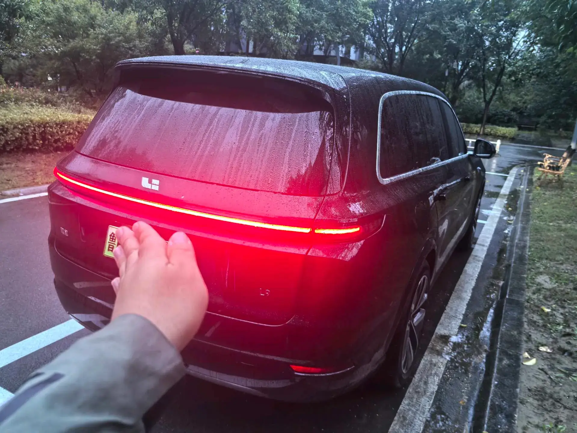 2024 LI L9 thumbnail 4