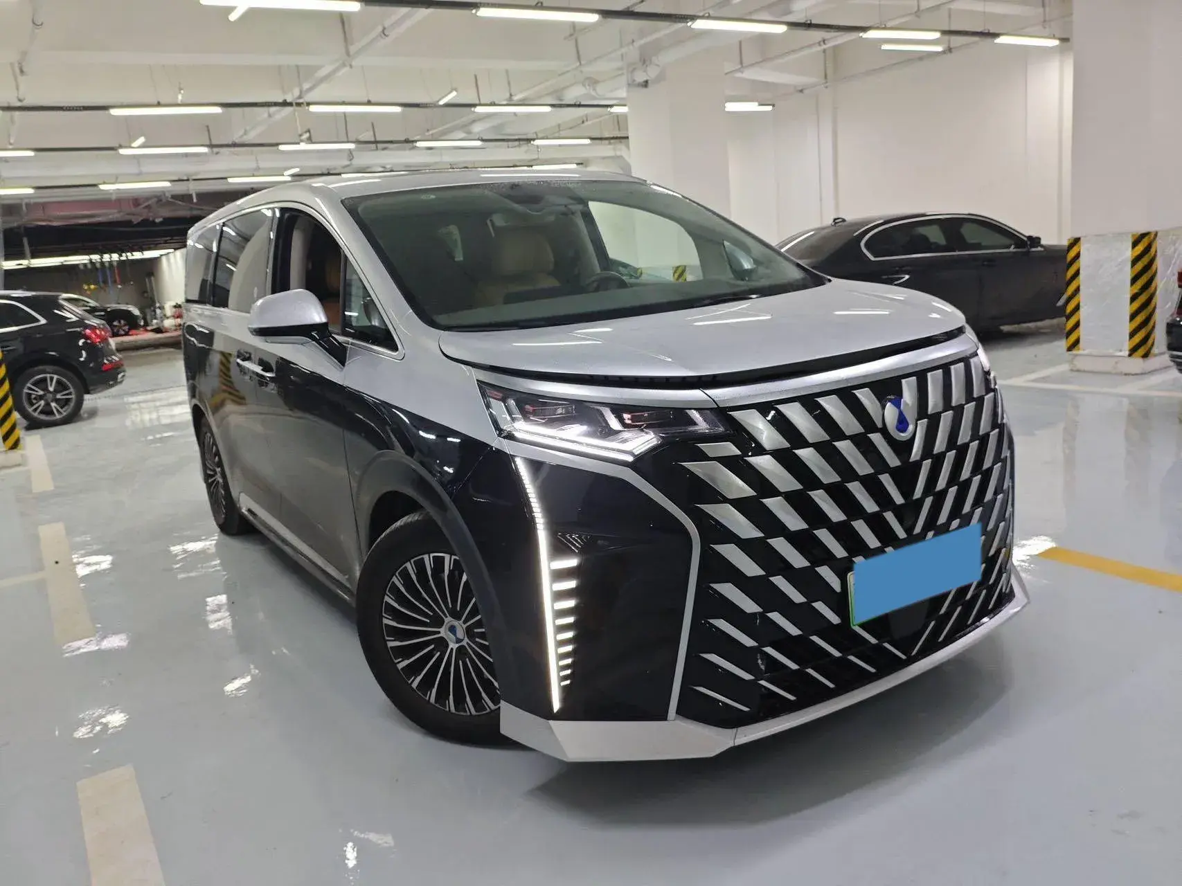 2022 DENZA D9 thumbnail 2