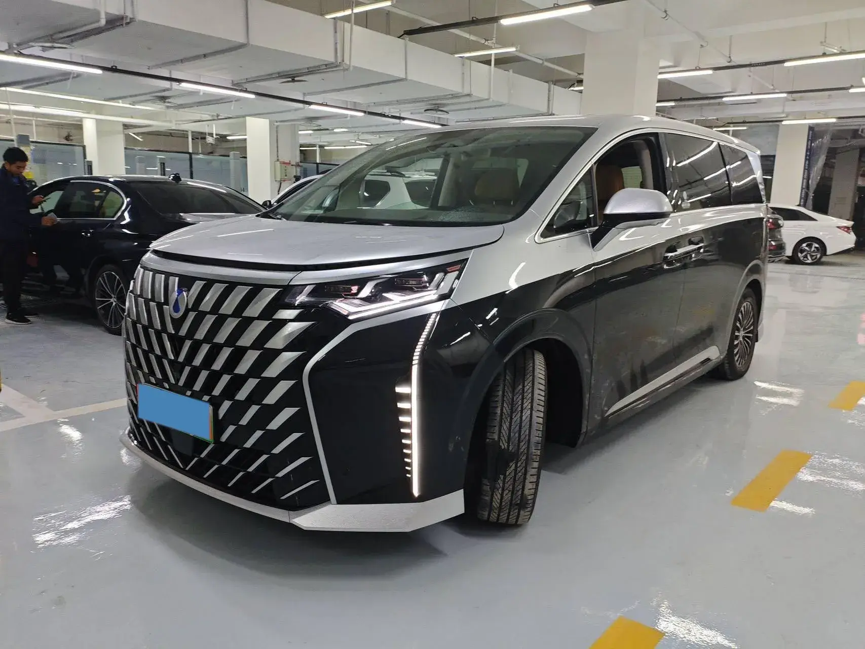 2022 DENZA D9 view 1