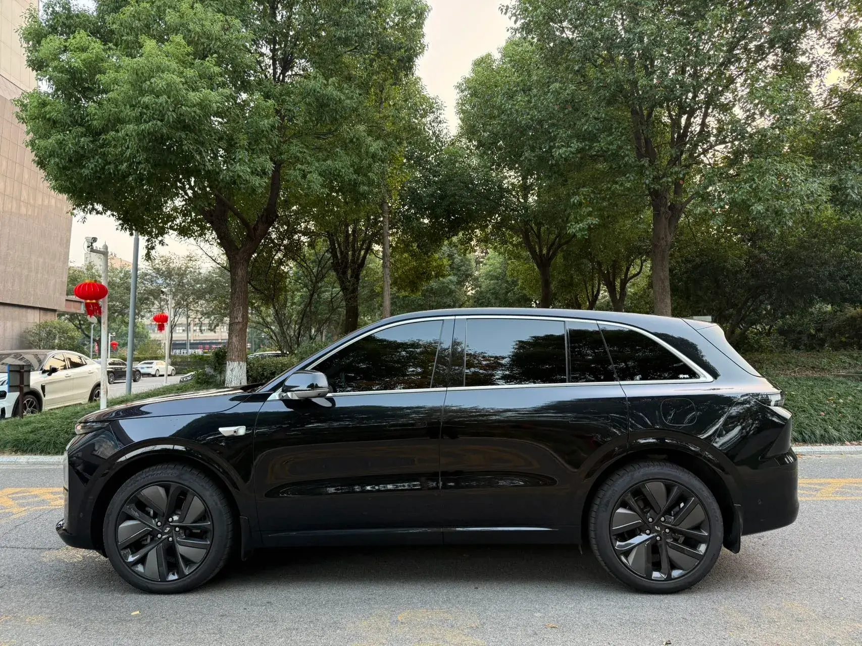 2024 LI L6 thumbnail 3