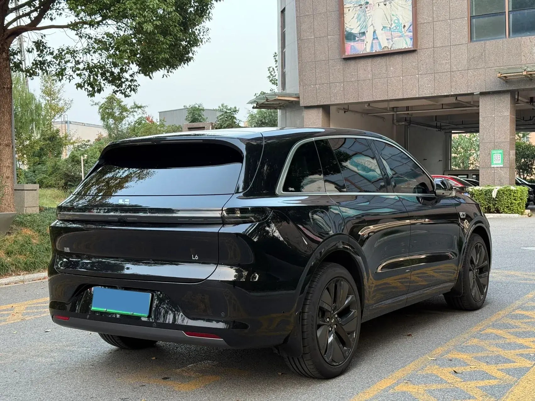 2024 LI L6 thumbnail 4