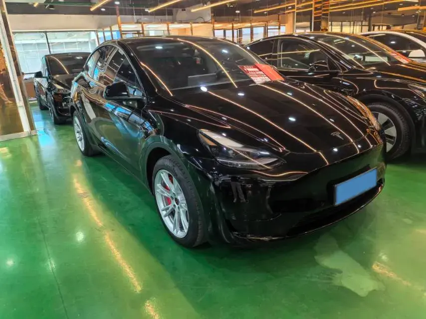 2022 TESLA MODEL thumbnail 2