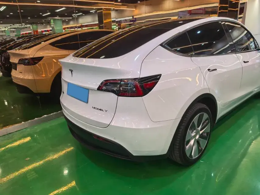 2021 TESLA MODEL thumbnail 4