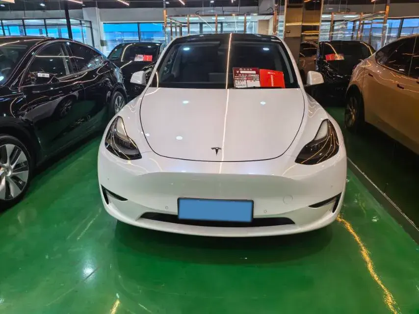 2021 TESLA MODEL thumbnail 3