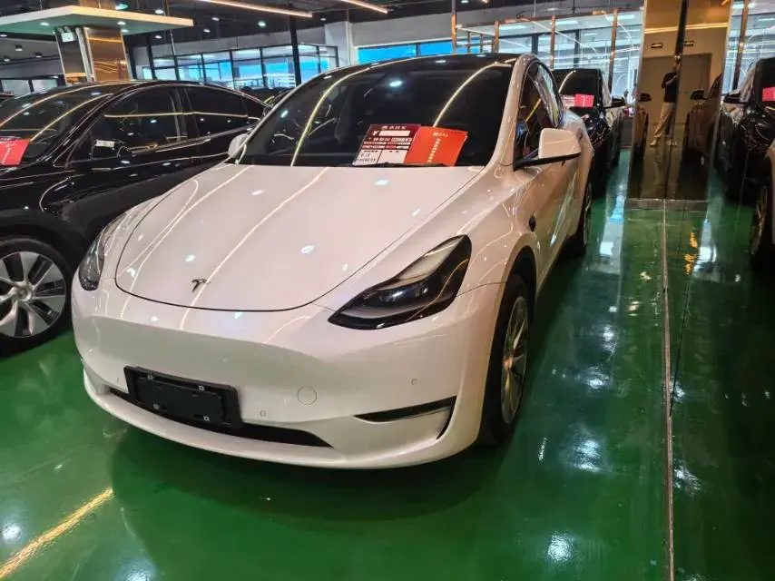 2021 TESLA MODEL view 1
