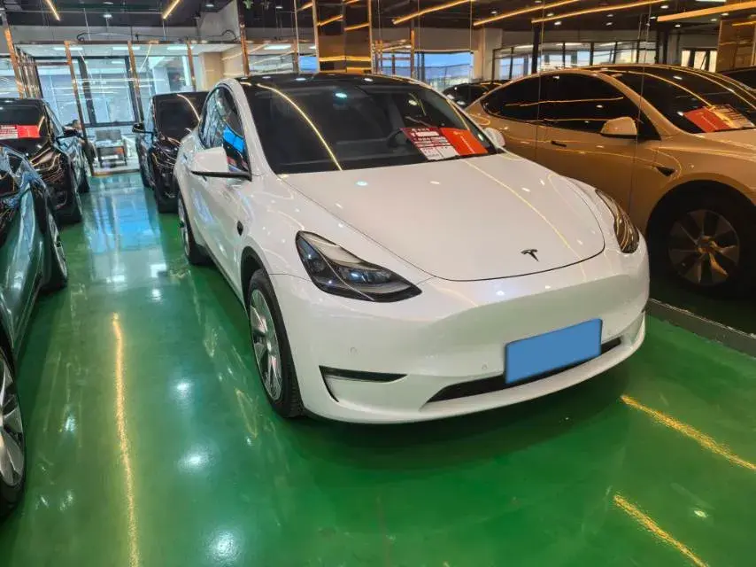 2021 TESLA MODEL thumbnail 2