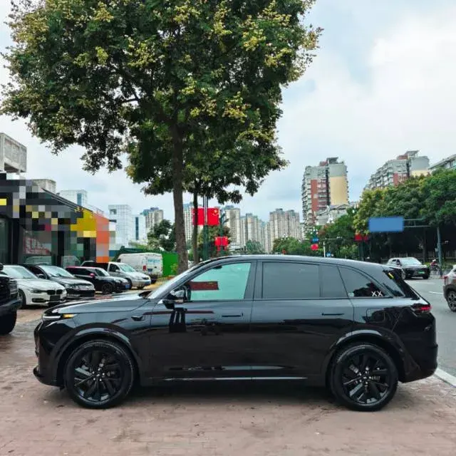 2023 LI L7 thumbnail 3