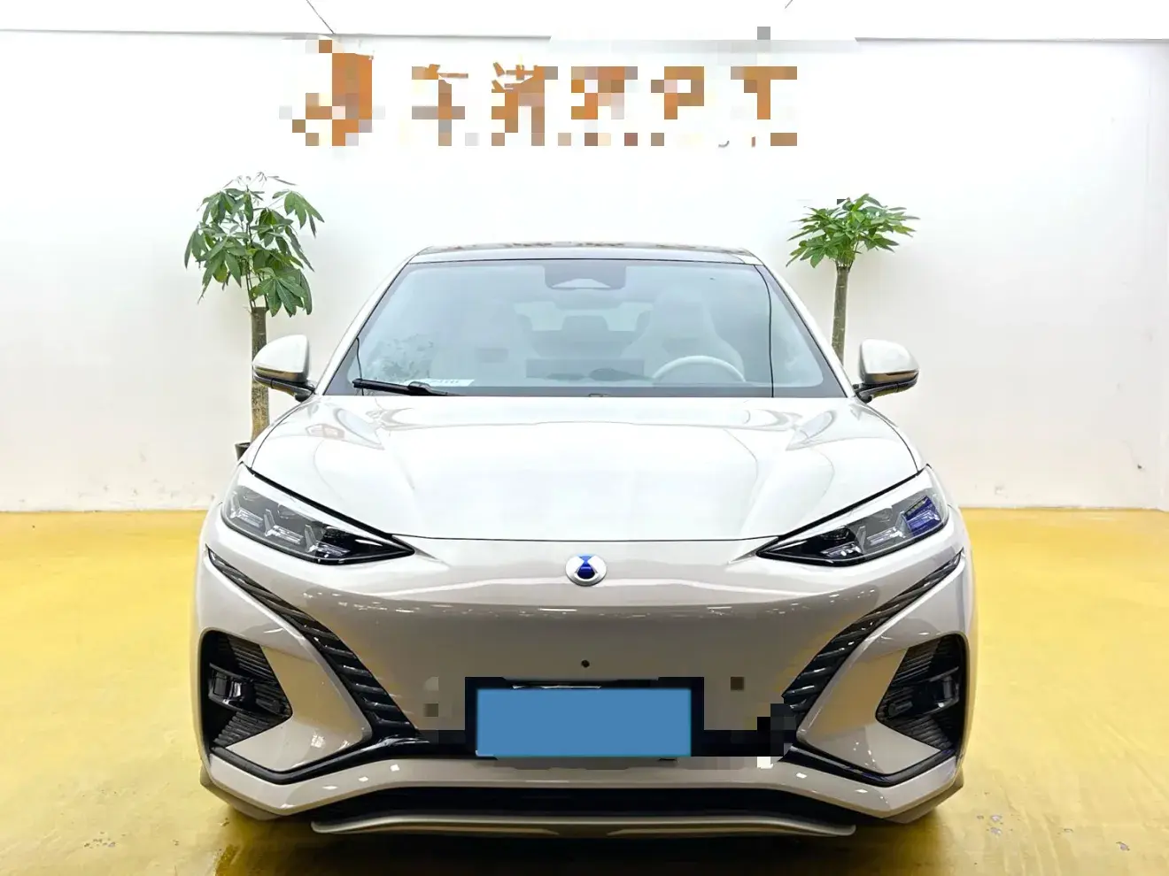 2023 DENZA N7 thumbnail 2