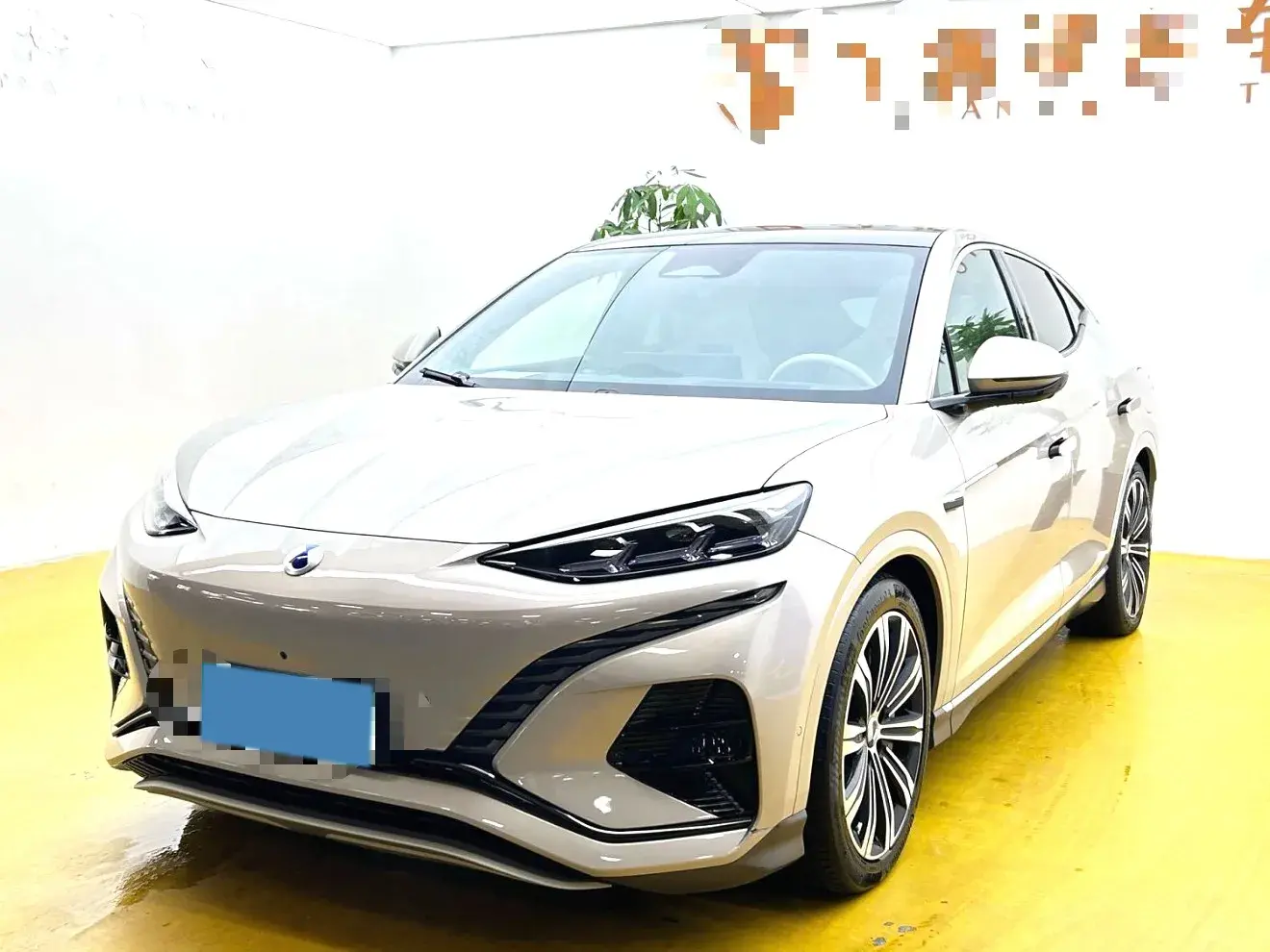 2023 DENZA N7 view 1