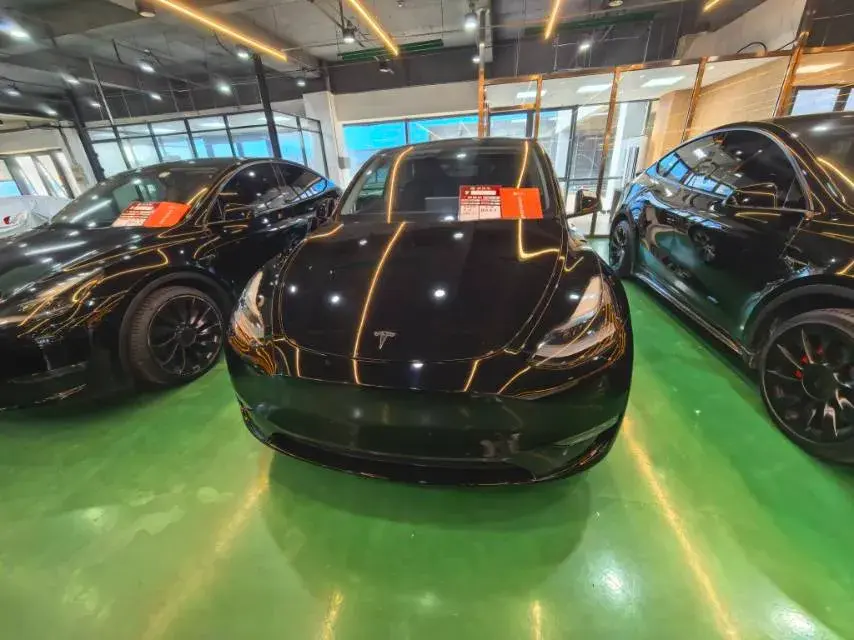 2021 TESLA MODEL thumbnail 2