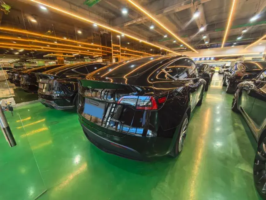 2021 TESLA MODEL thumbnail 4