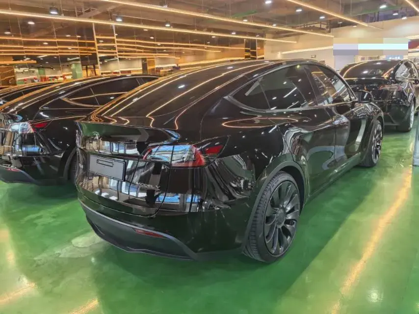 2021 TESLA MODEL thumbnail 4